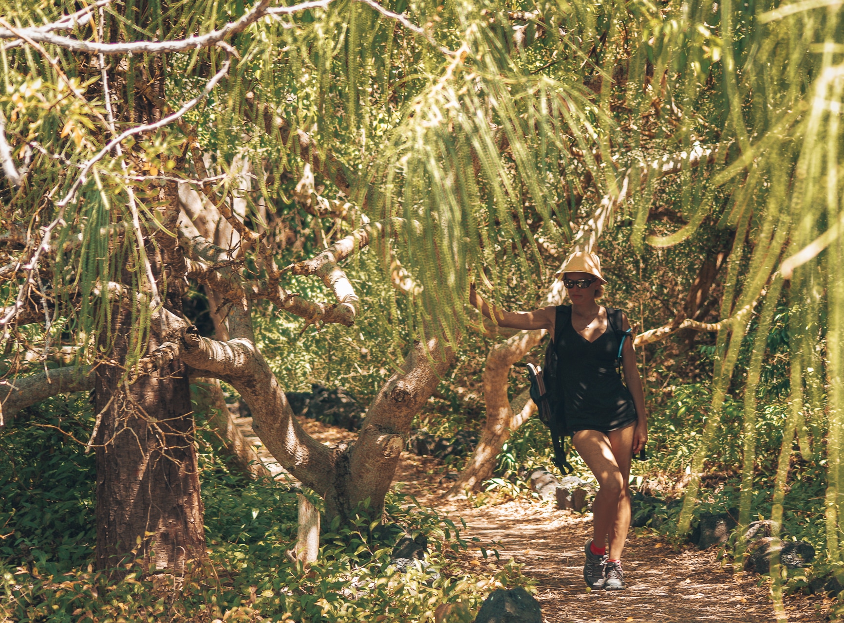 femme prenant la pose dans une forêt sur l'île d'Isabela Galapagos