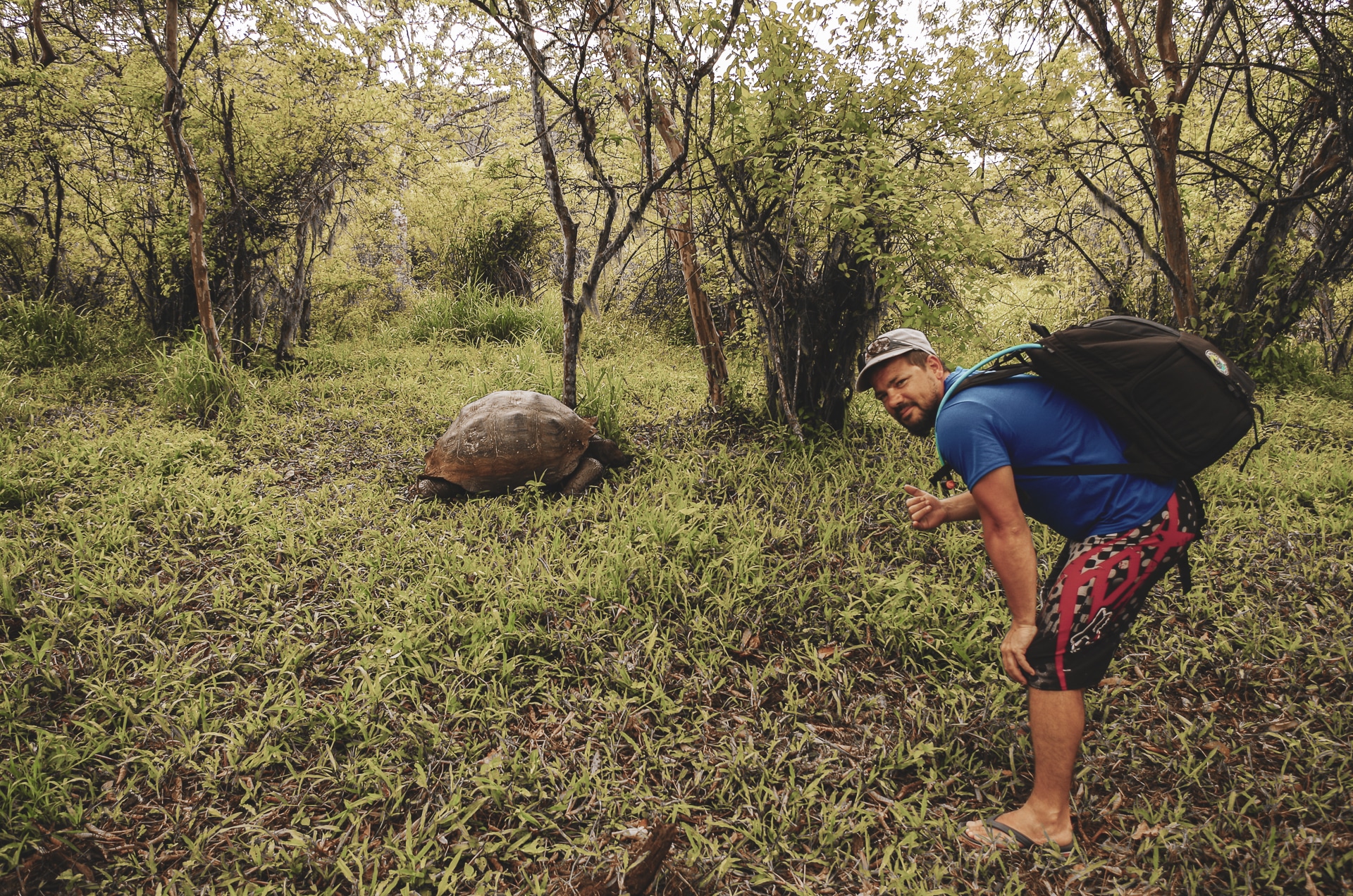 homme à côté d'une tortue géante Santa Cruz Galapagos