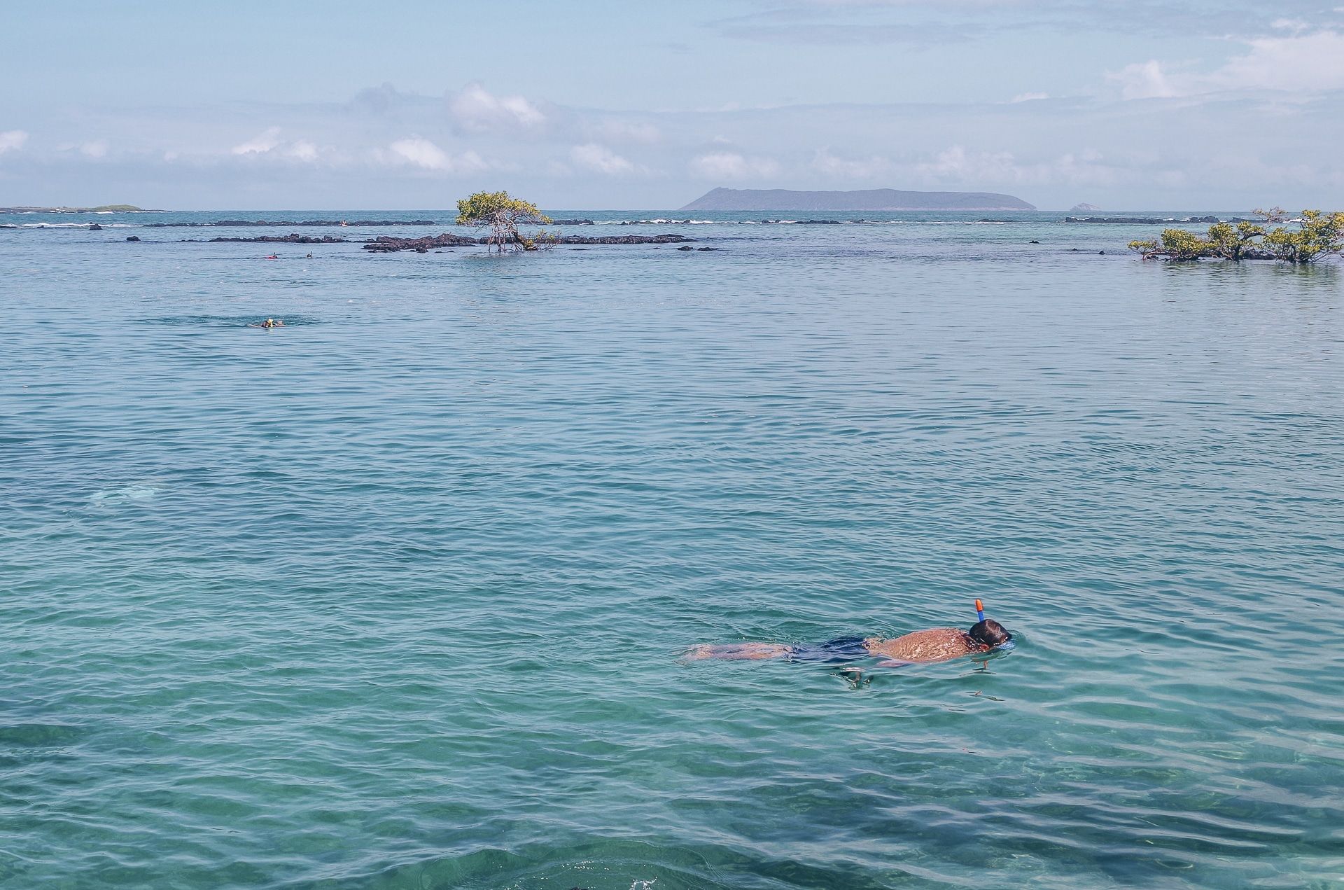 homme faisant du snorkeling au lagon de Concha de Perla île Isabela aux Galapagos