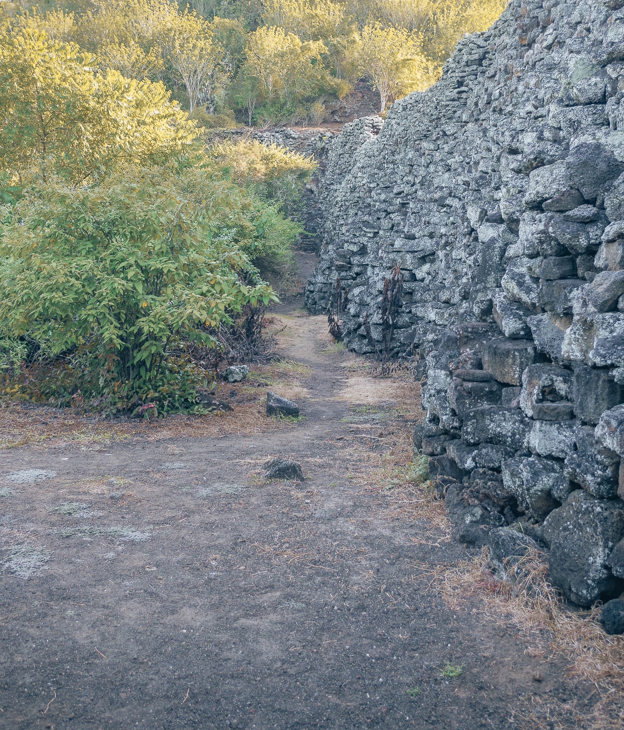 muro las lagrimas Isabela Galapagos