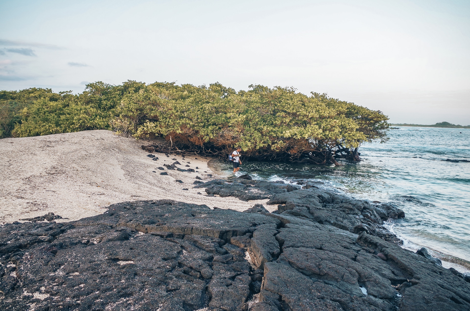 plage de l'amour île Isabela Galapagos