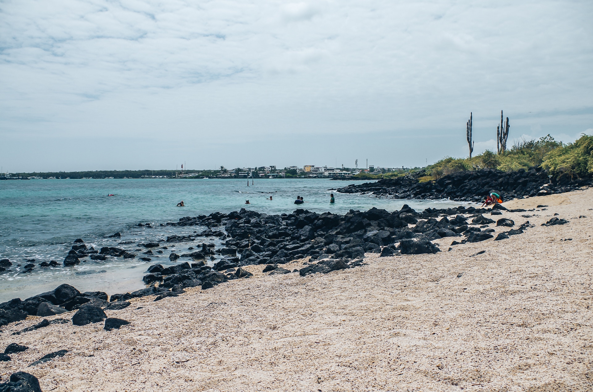 plage de la estacion Santa Cruz Galapagos