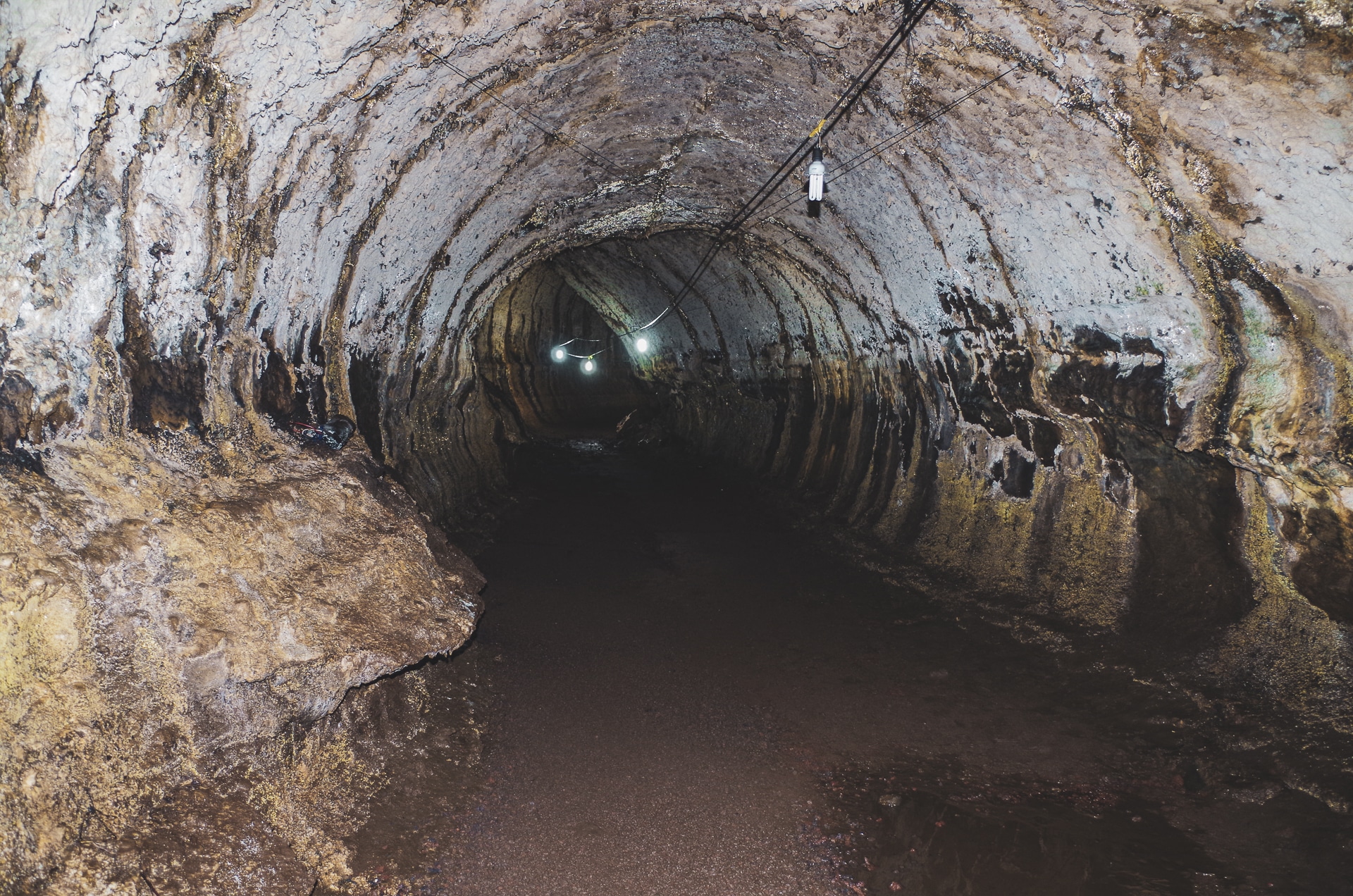 tunnel de lave reserve el chato Santa Cruz galapagos
