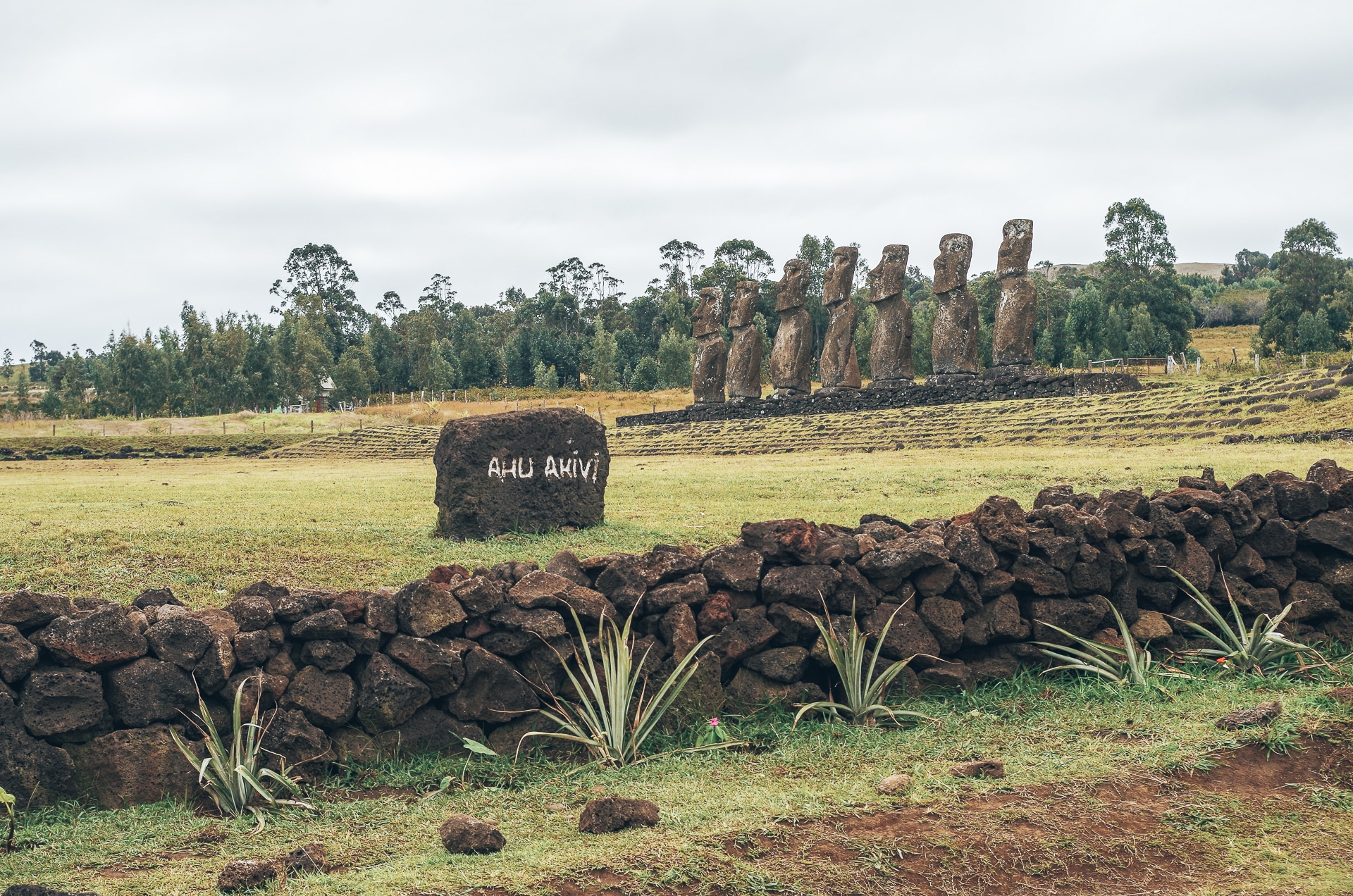 Ahu Akivi avec ses sept Moai posés sur un ahu à l'île de Pâques
