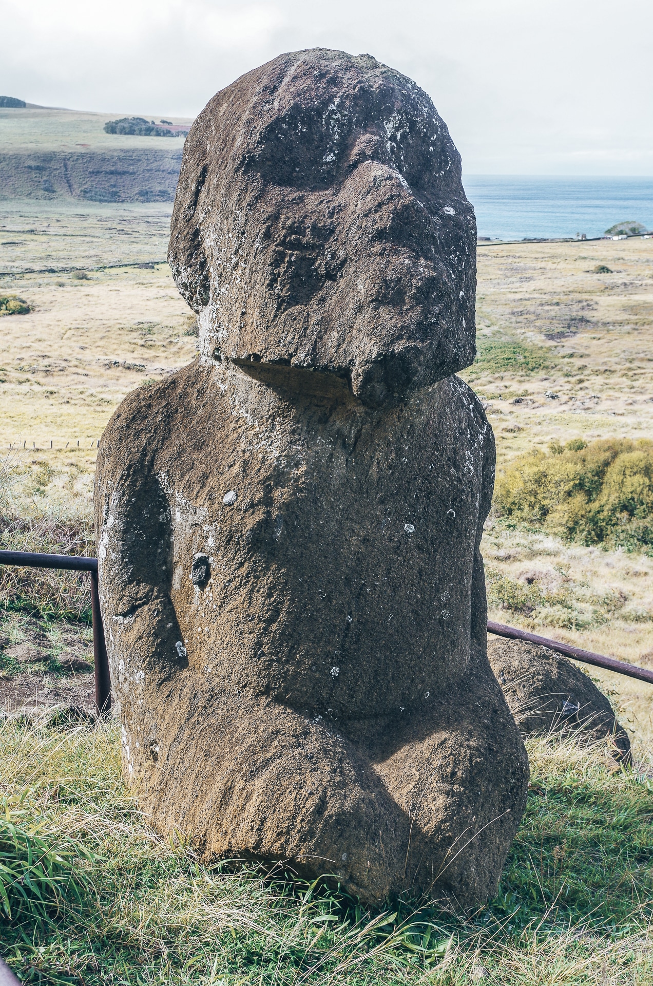 le seul Moai sculpté avec une barbe à l'île de Pâques