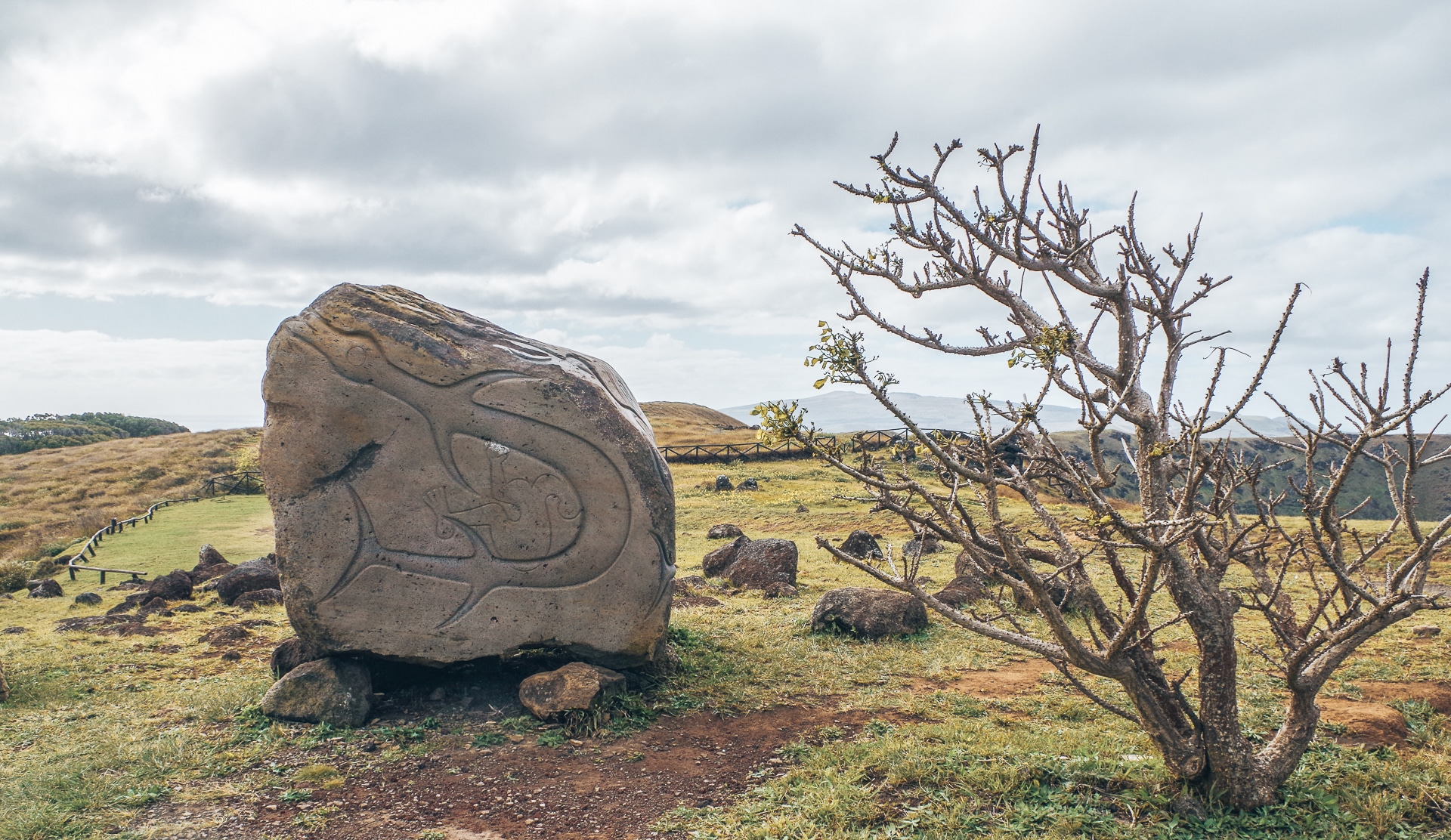 sculptures sur un bloc de roche d'un homme dauphin sur l'île de Pâques