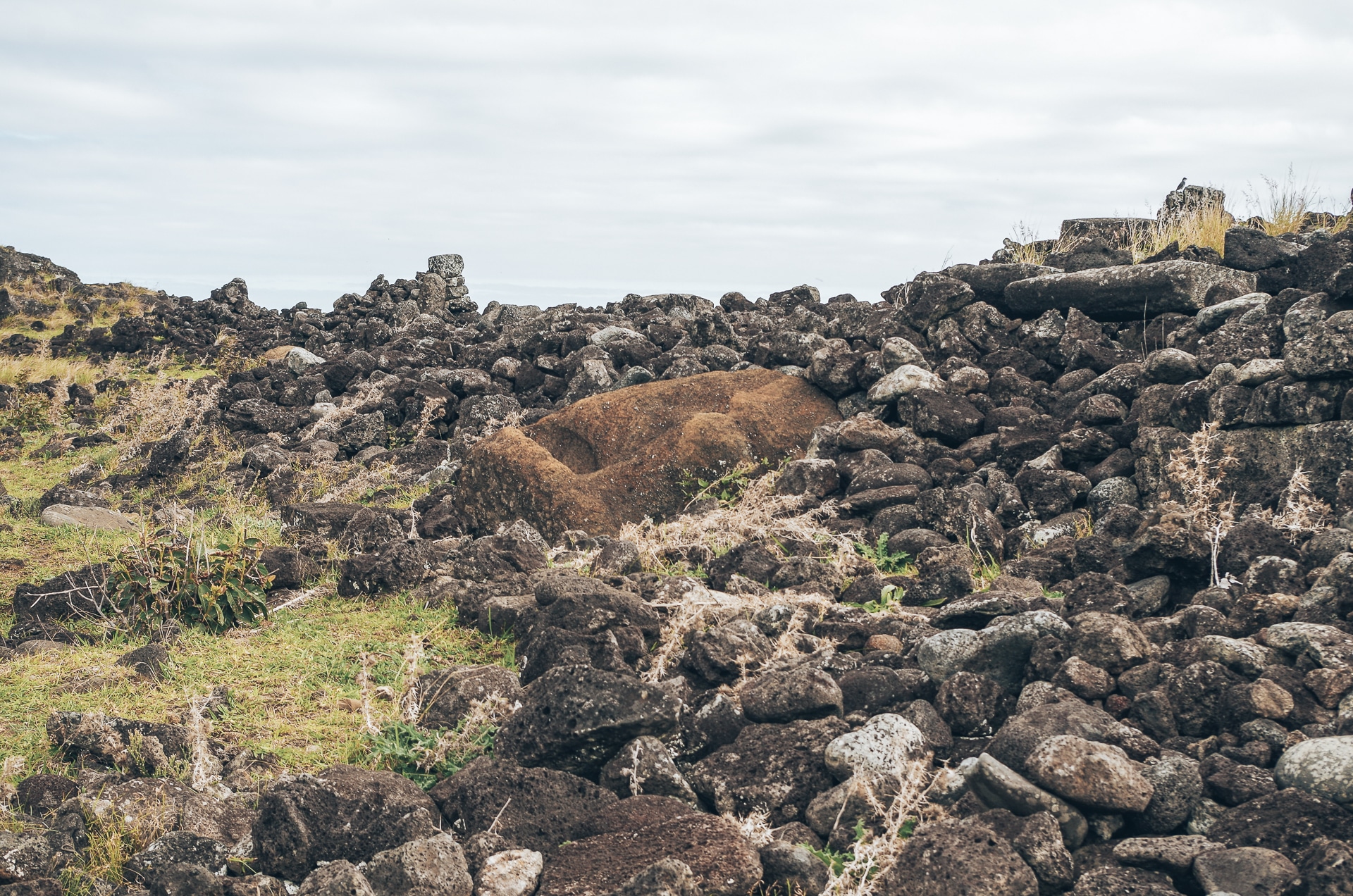 tête de Moai sortant de l'Ahu Tepeu 