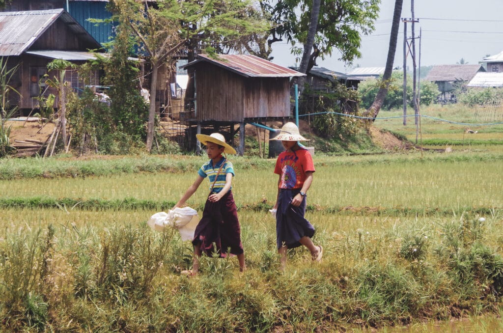 enfant portant des longyi et marchant dans les rizières au Myanmar