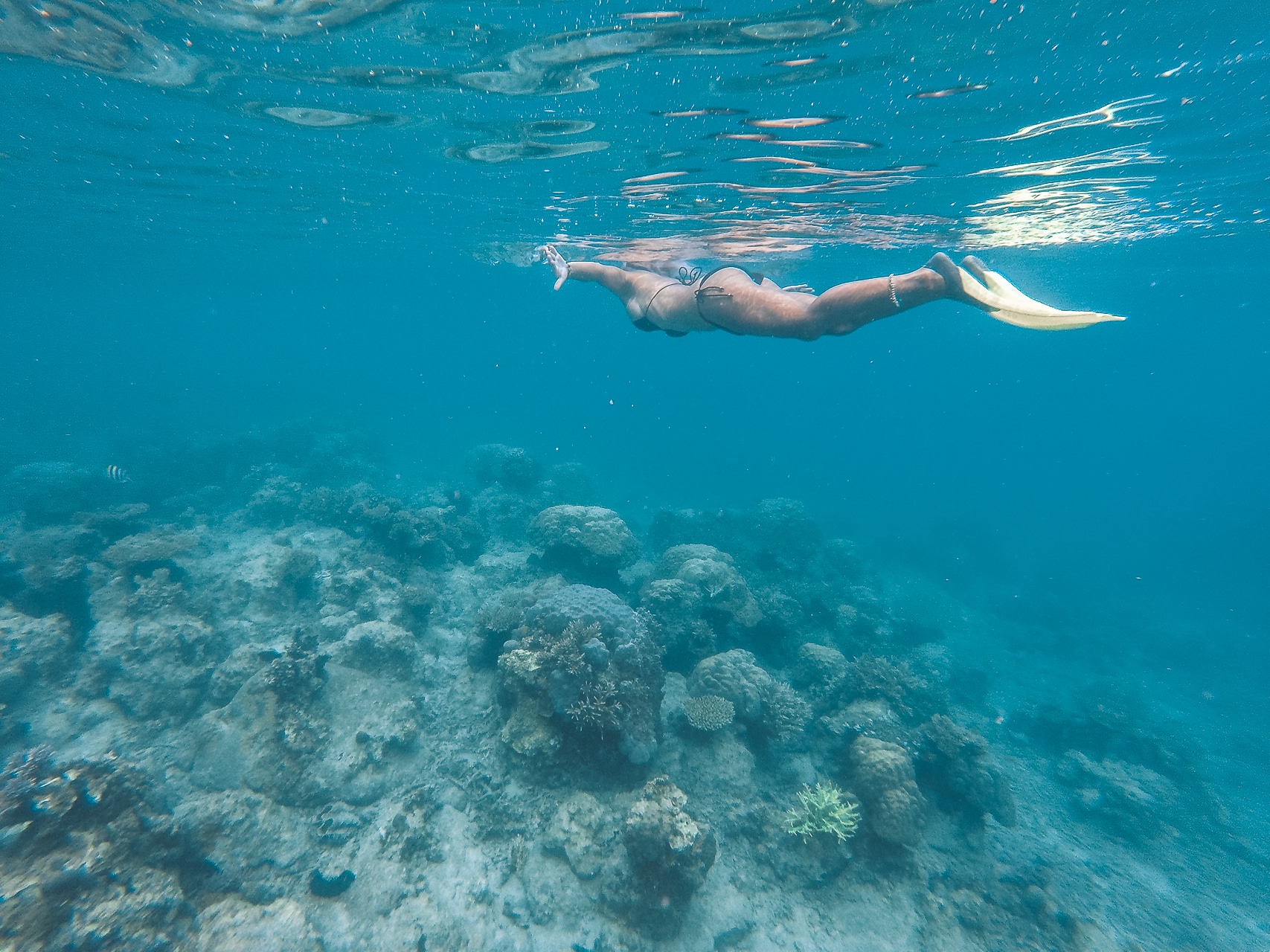 femme en snorkeling au dessus d'un récif corallien
