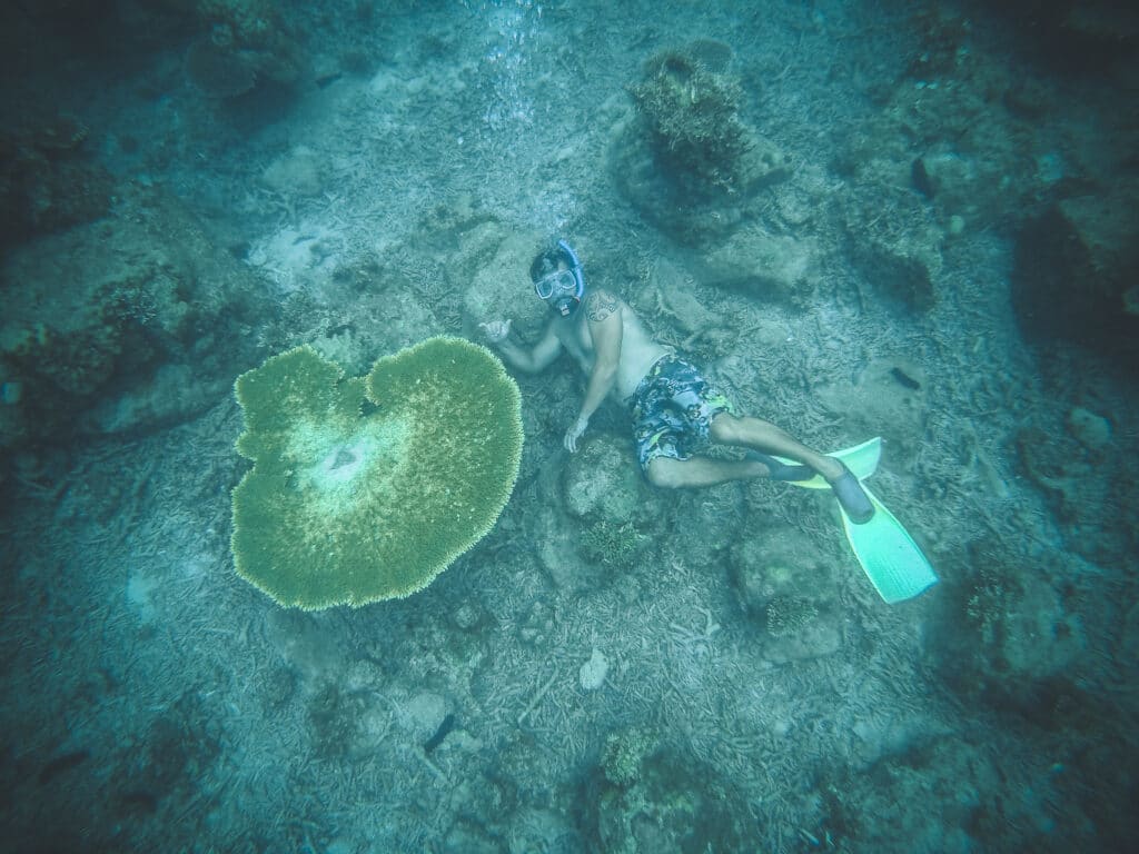 homme à côté d'un immense corail lors d'une sortie snorkeling aux îles Perhentians