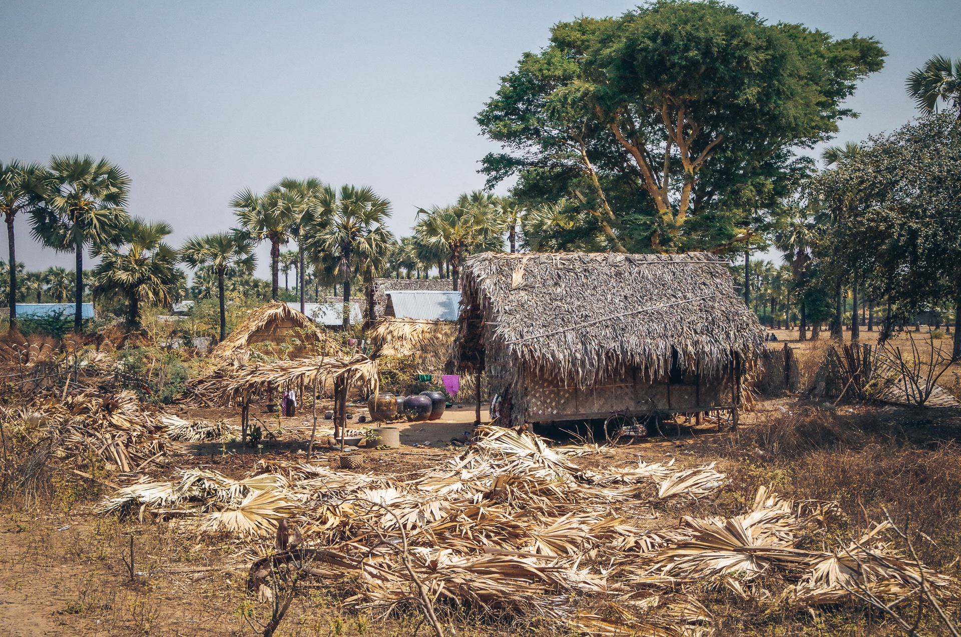 maison en toit de feuilles de palmiers voyager en train au Myanmar