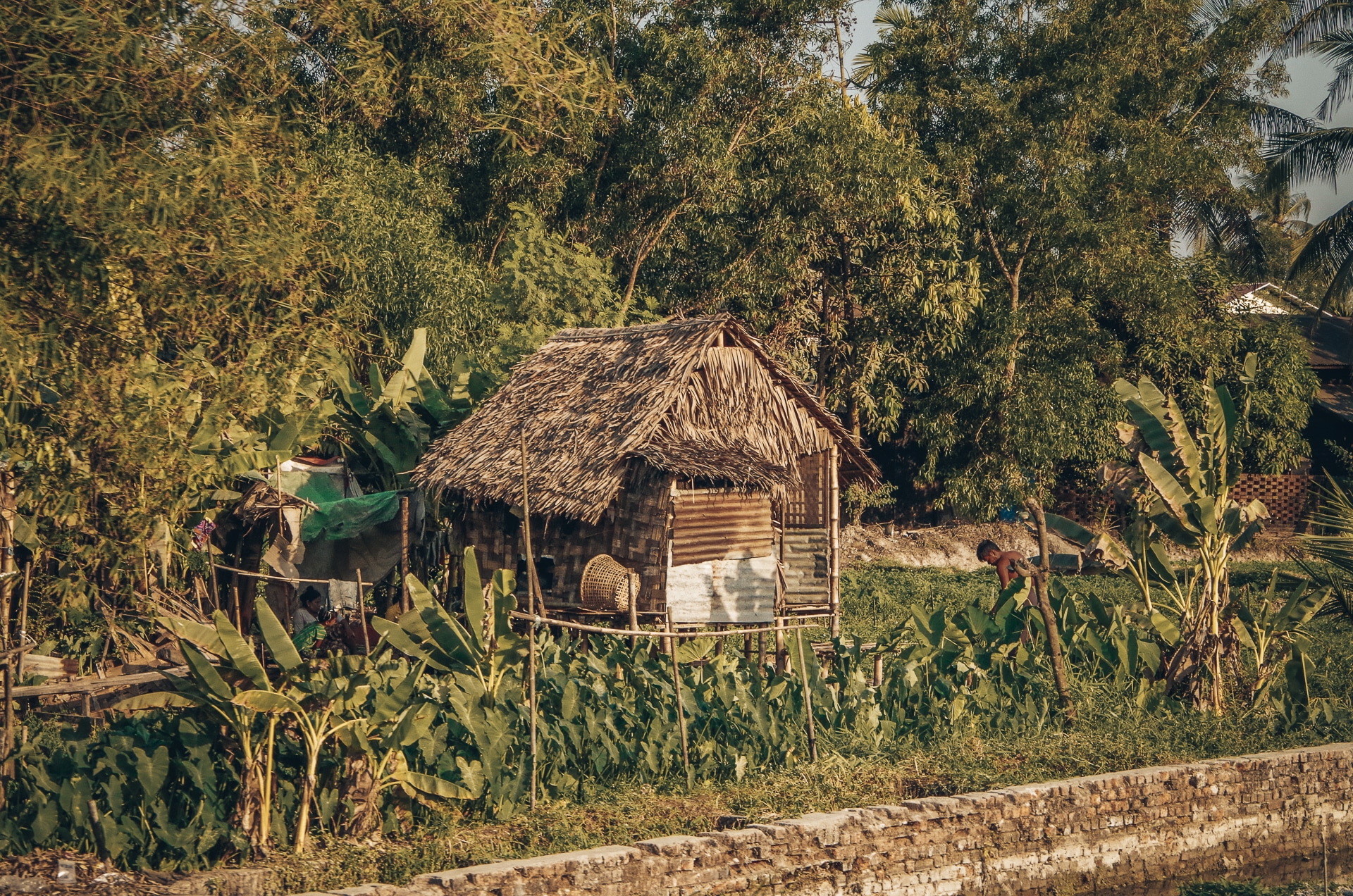 maison dans la campagne birmane entourée de plantations
