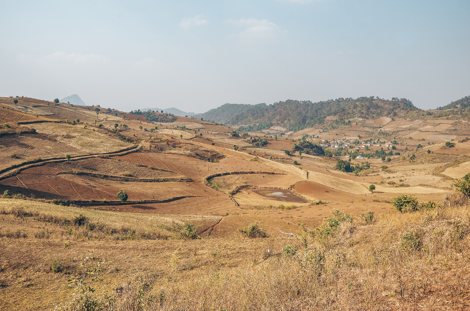 paysage avec des champs de cultures au Myanmar