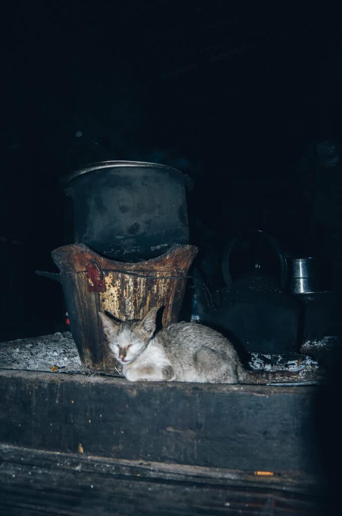 chat se réchauffant auprès du feu dans une maison birmane Trek Kalaw Inle