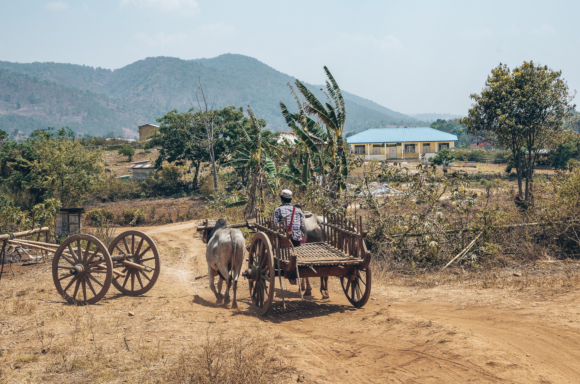ahomme assis sur une charrette tirée par des boeufs au Myanmar