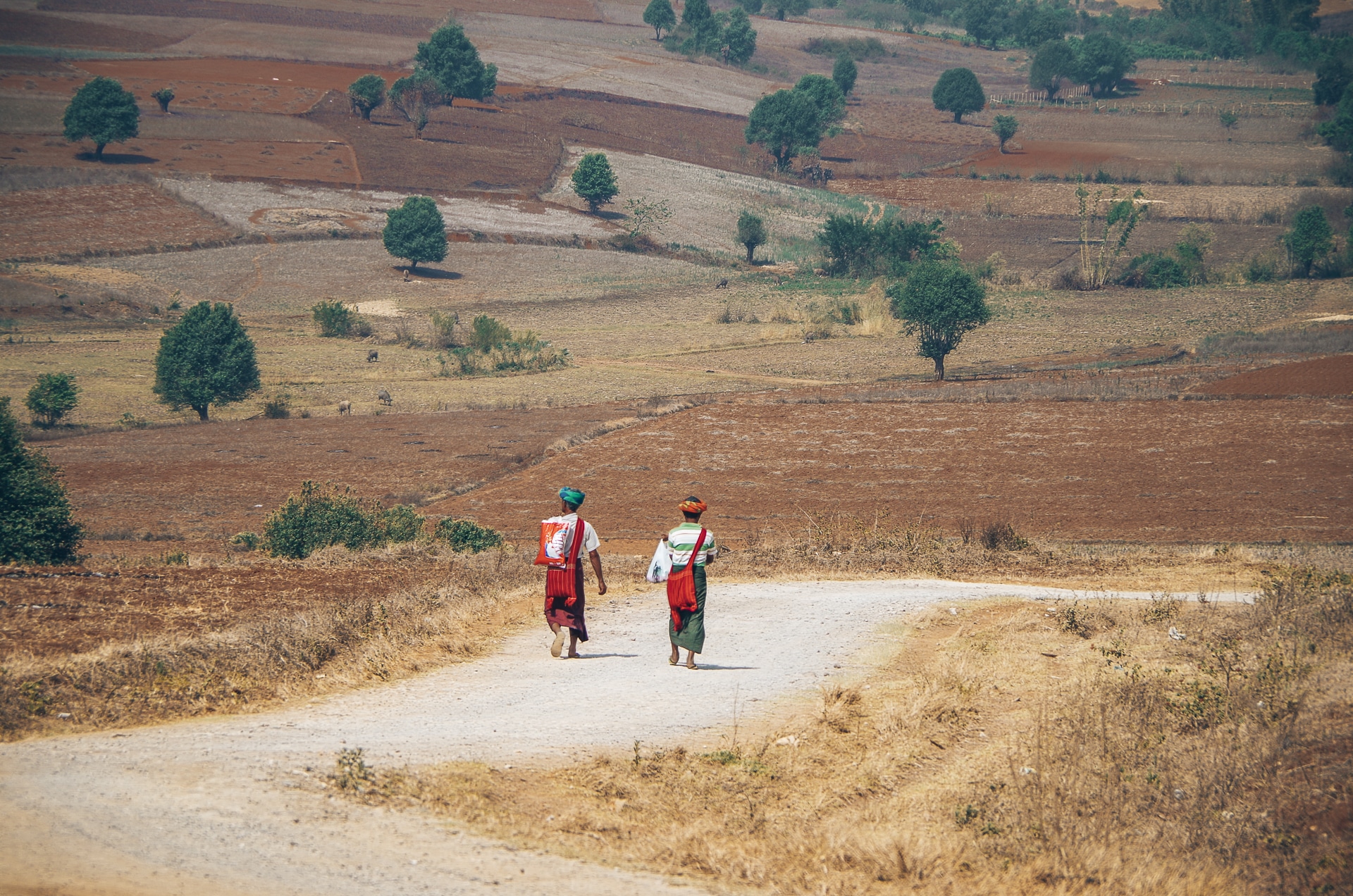deux hommes marchant dans la campagne birmane pour rejoindre leur village