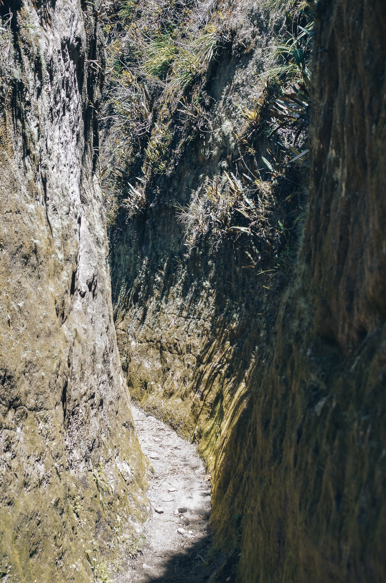 sentier très exigu du canyon de toachi