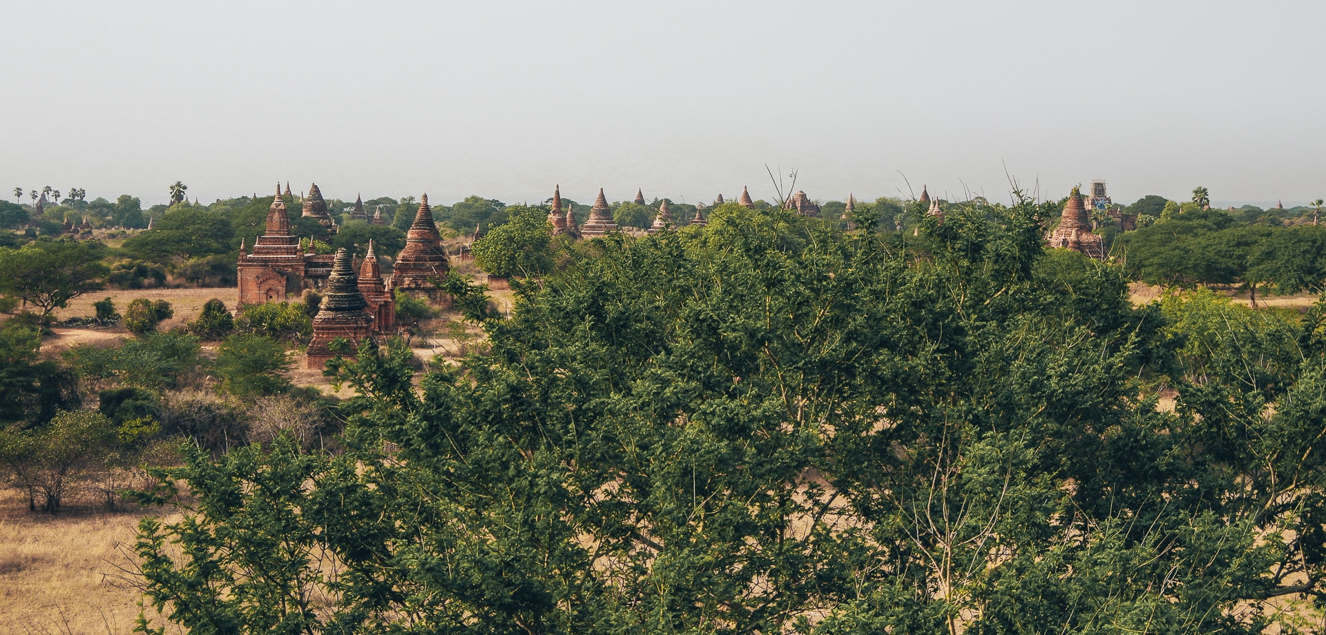 paysage de la plaine de Bagan