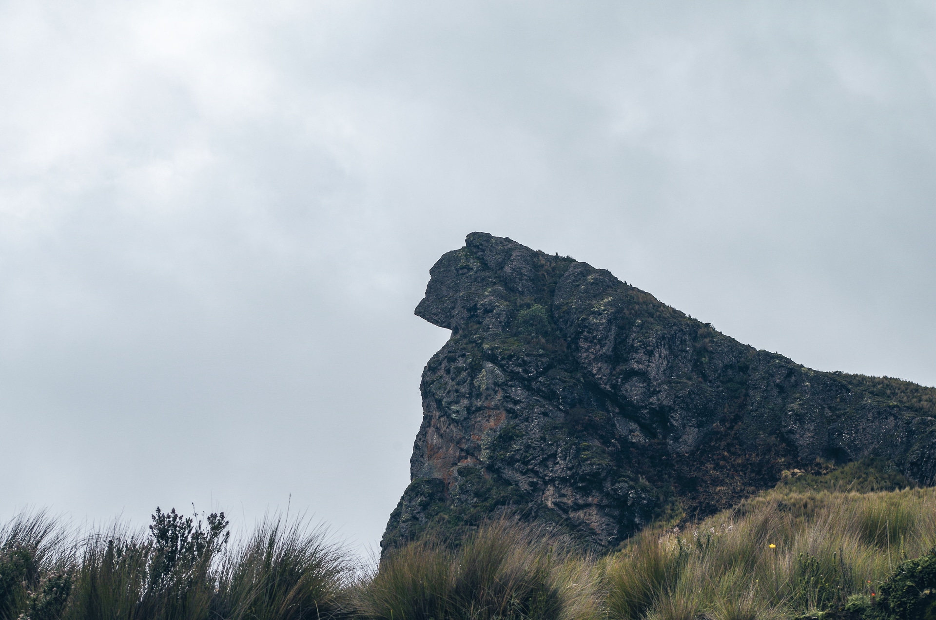 visage inca sculpté dans la roche en Equateur