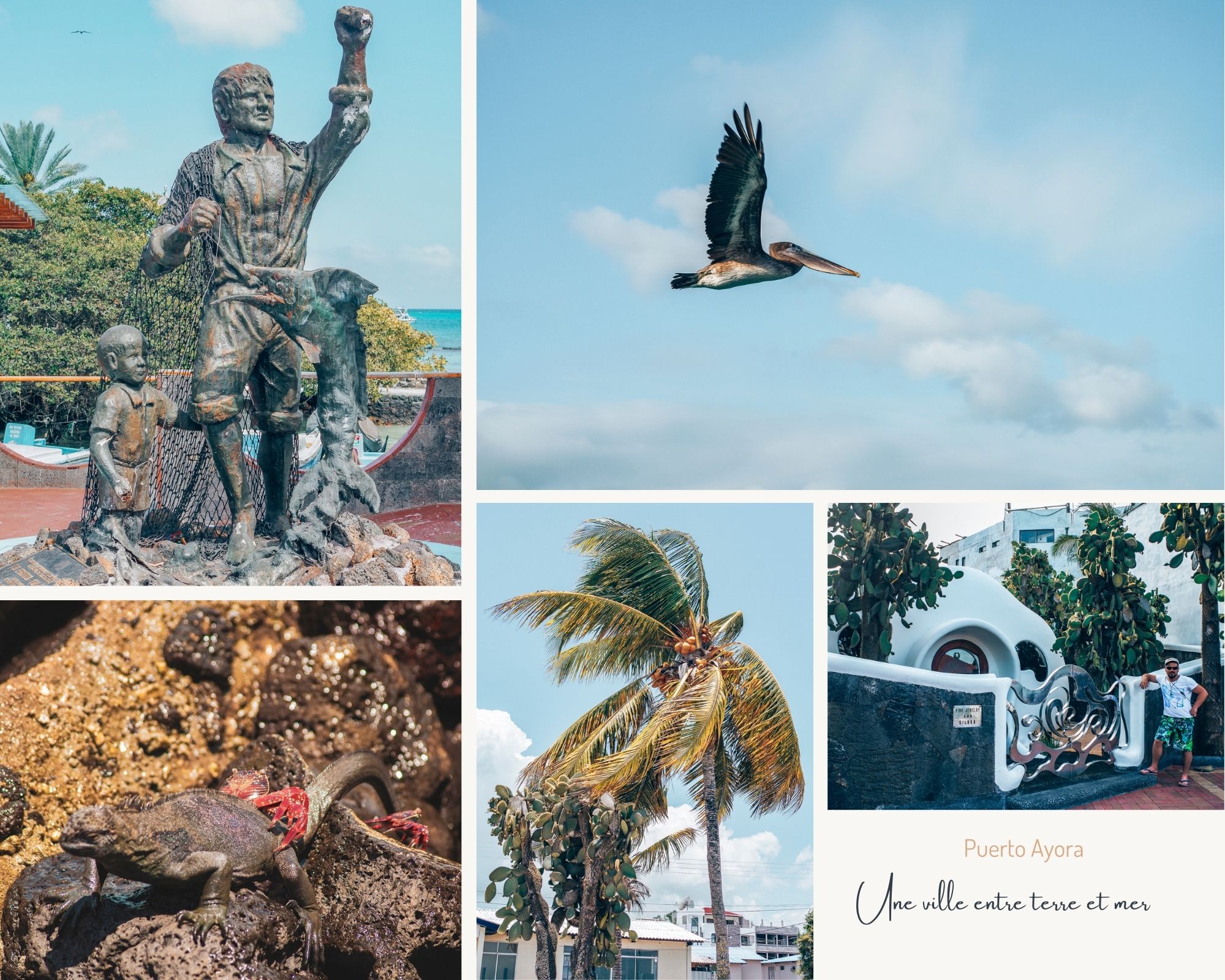 Santa Cruz aux Galapagos détail de la ville et des animaux à travers des photos