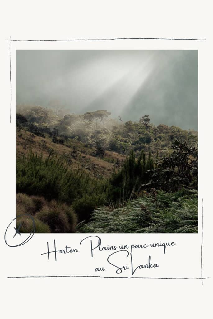 visiter Horton Plains