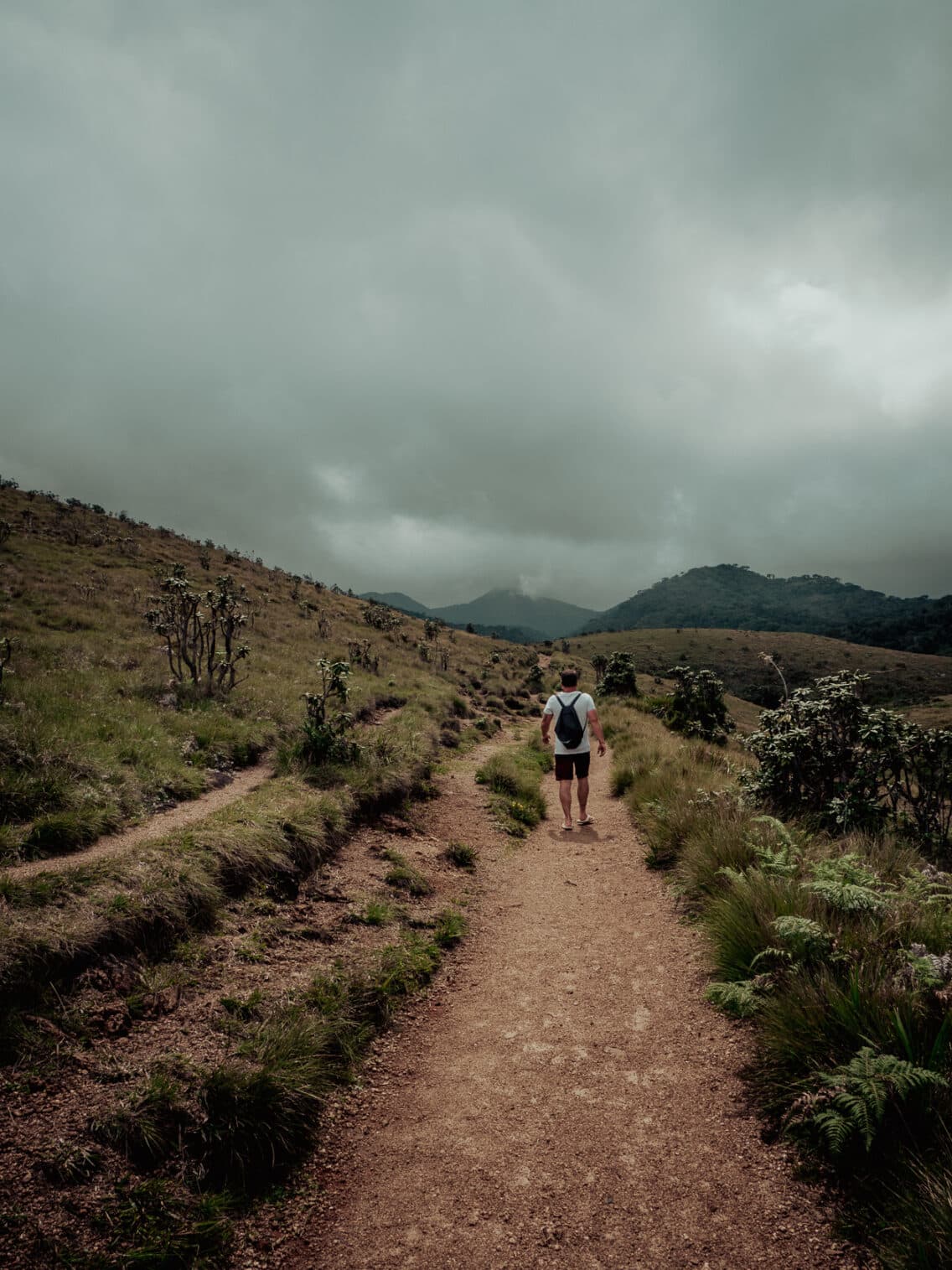 Horton Plains, Un Parc Naturel Unique Au Sri Lanka | Blog Voyage