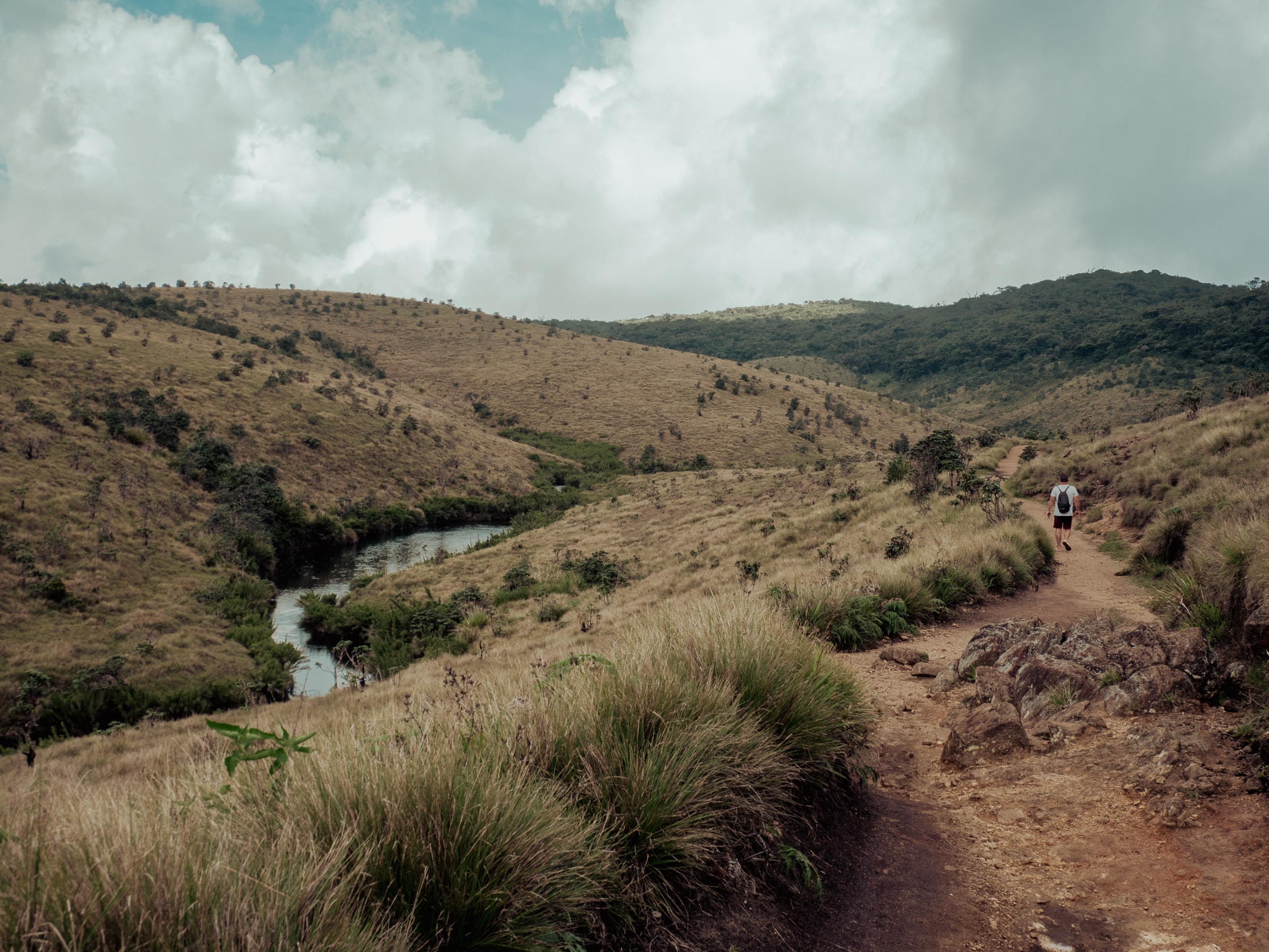 où faire un trek sans guide au Sri Lanka horton plains