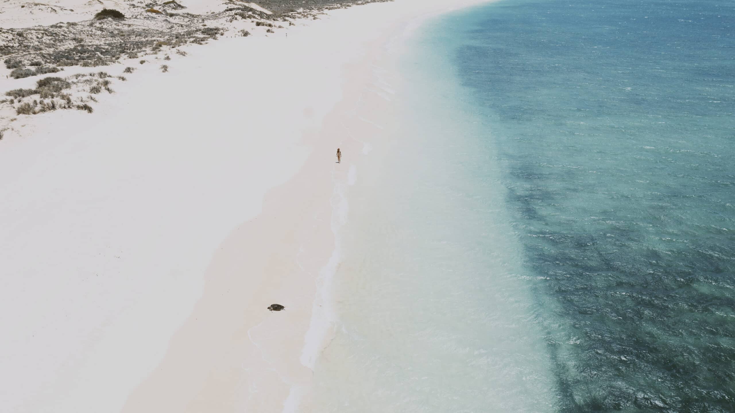 ningaloo que faire ningaloo barrière de corail australie