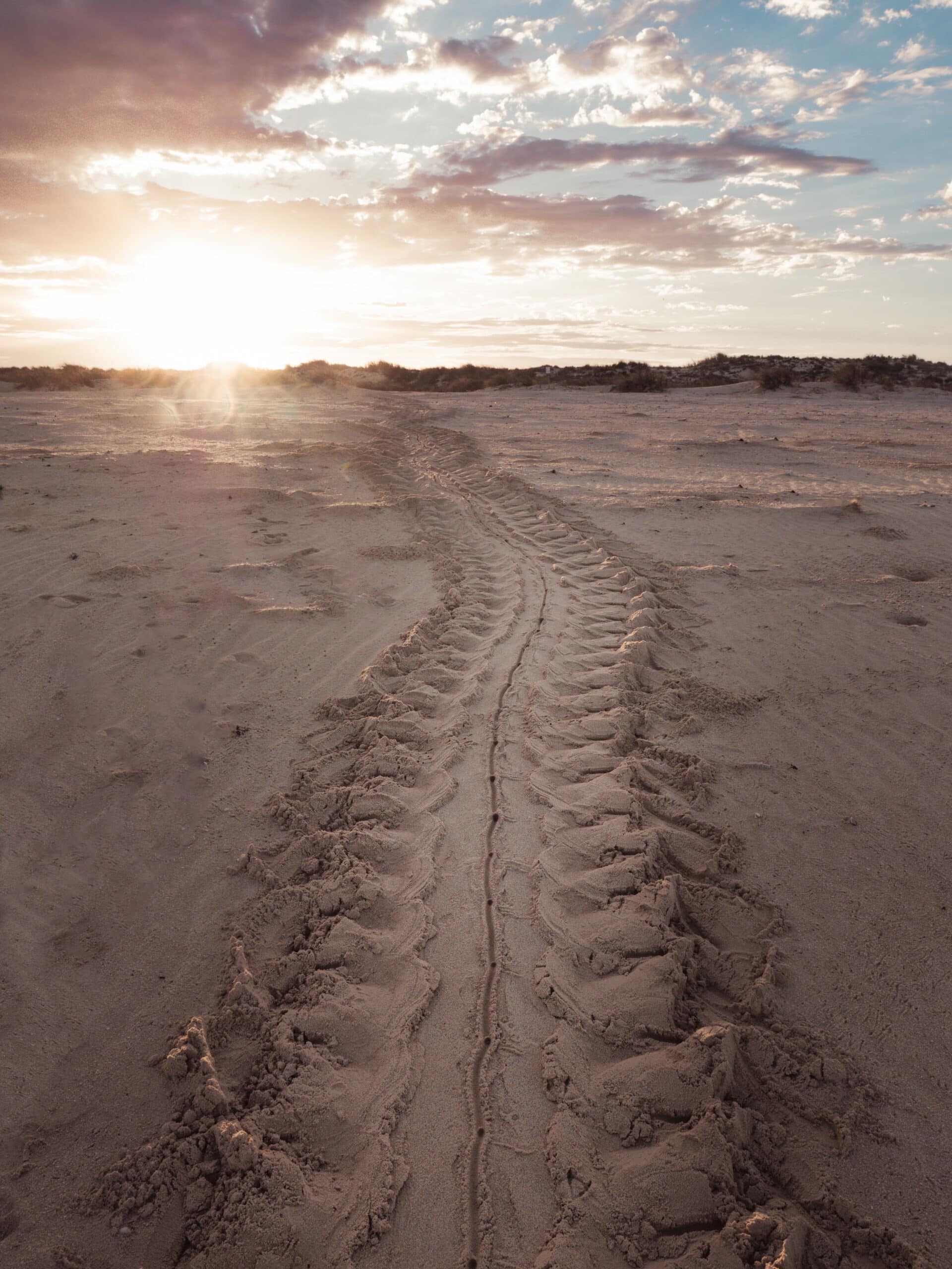 visiter Exmouth australie que faire a Exmouth tortue marine ningaloo reef