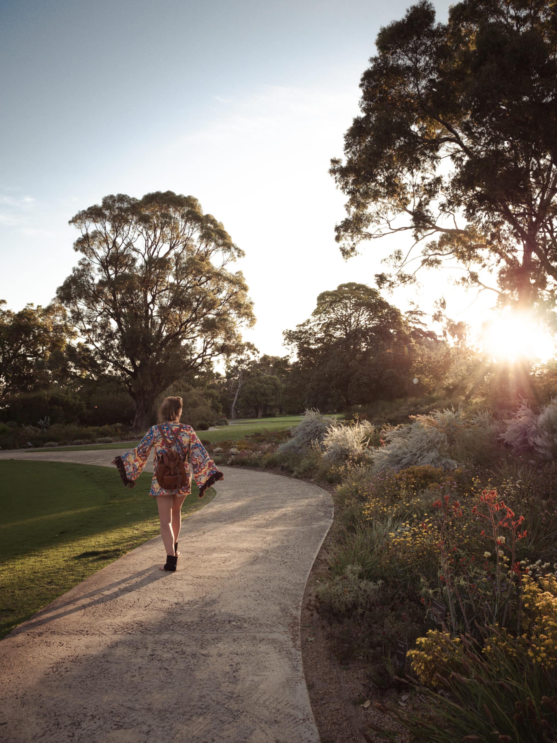 sunset perth kings park