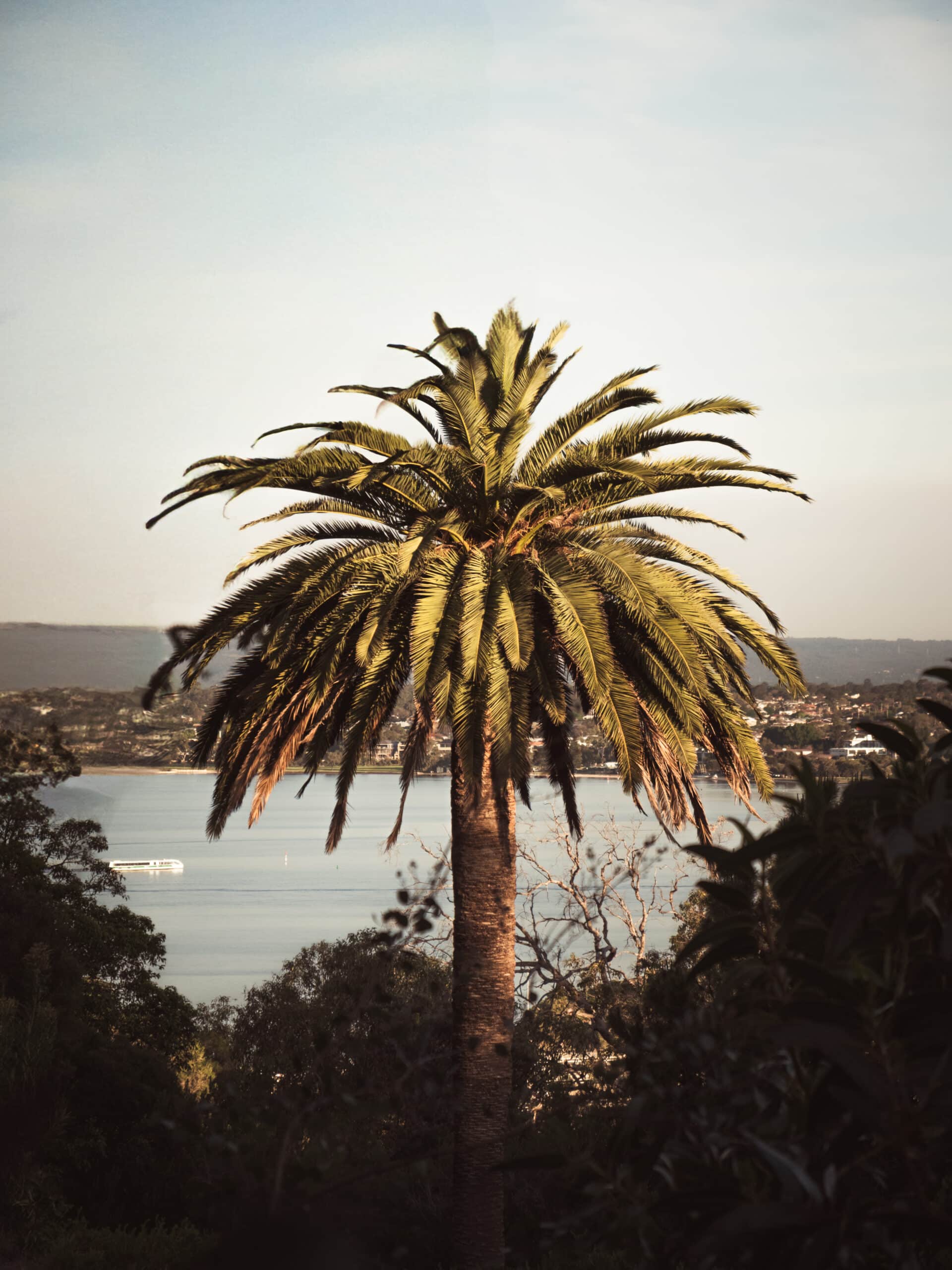 sentier de randonnée perth Kings Park